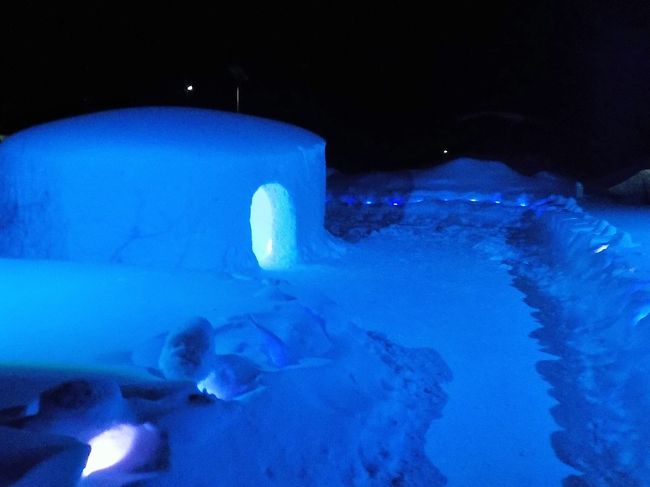 かまくら祭りはやっていなかったけど、イルミネーションは2月イッパイは実施されていたので良かった。<br />でも寒かったよぉ～