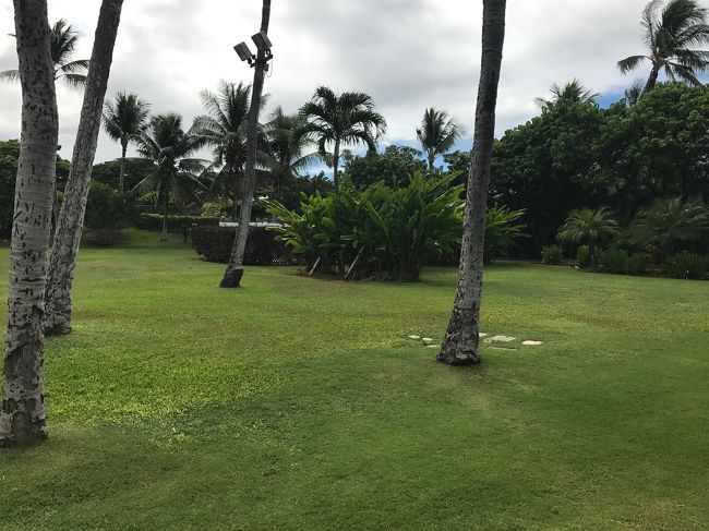 芝生もあります。