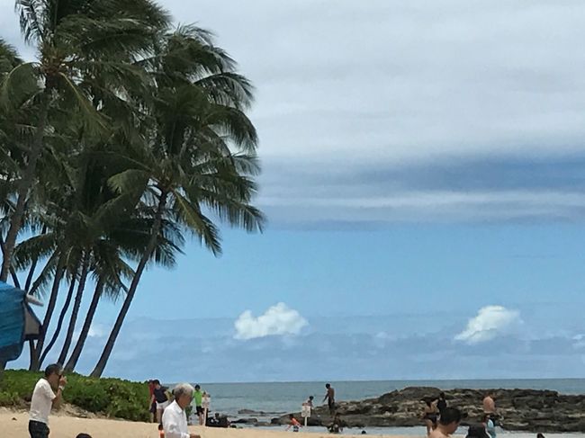 どんどんいい天気になってきました。<br />この後、妻と息子に悲劇が！<br />あまりの天気の良さで、ヒドイ火傷？日焼けになってしまいました。 <br />二人は残りの滞在中に、ABCストアで購入したアロエクリームのお世話になりました。<br />この西オアフはディズニーのアウラニホテルの近くのようです。<br />