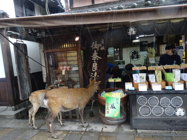 奈良漬けを買いに来た珍客。いや、常連か(笑)。