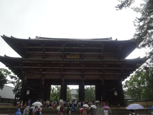 南大門 門前にはたくさんの鹿が雨宿り中。