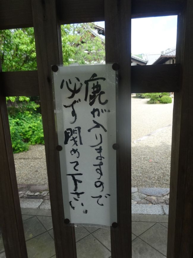 写経は約1時間。まさか、甥っ子と写経が出来るとは思わなかった。彼は、この時間がとてもよかったと後で言っていました。<br />さて、また鹿地獄の世界へ。