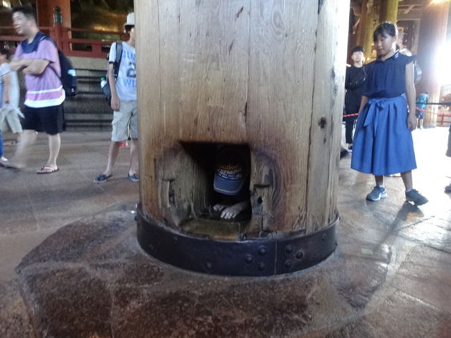 大仏様の鼻の穴と同じ大きさの柱の穴。ここをくぐると、頭が良くなるとも幸せになるとも言われています。