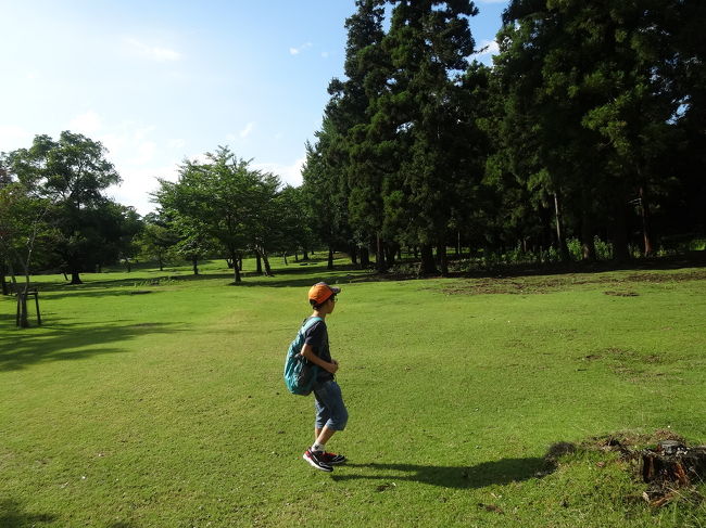 鹿のいない広場にて甥っ子のびのびしていました。