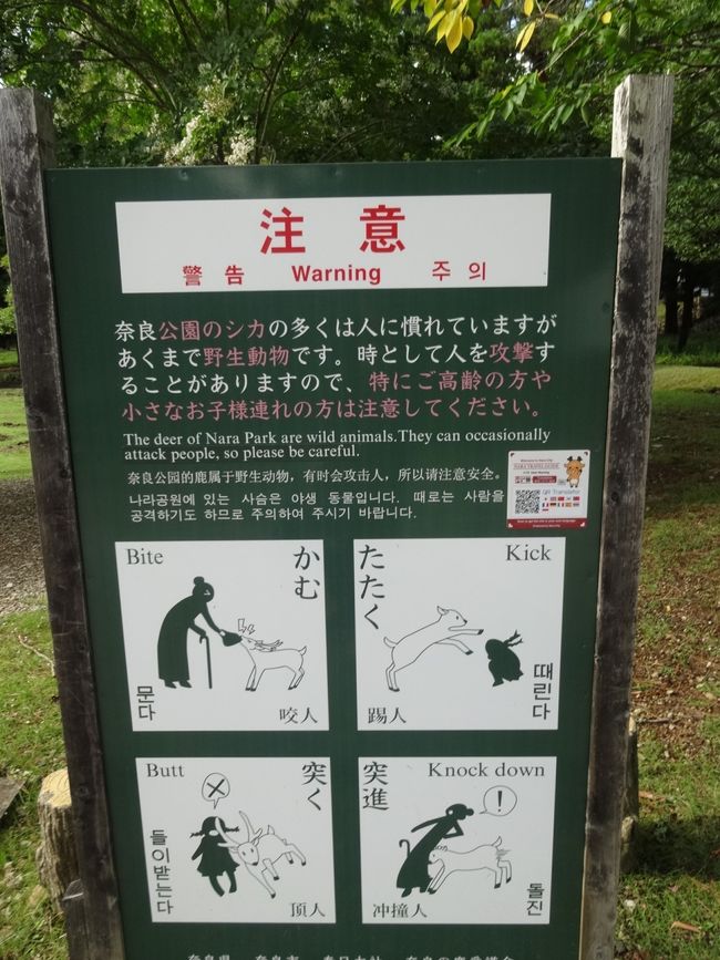 奈良公園でよく見かけた鹿の看板。