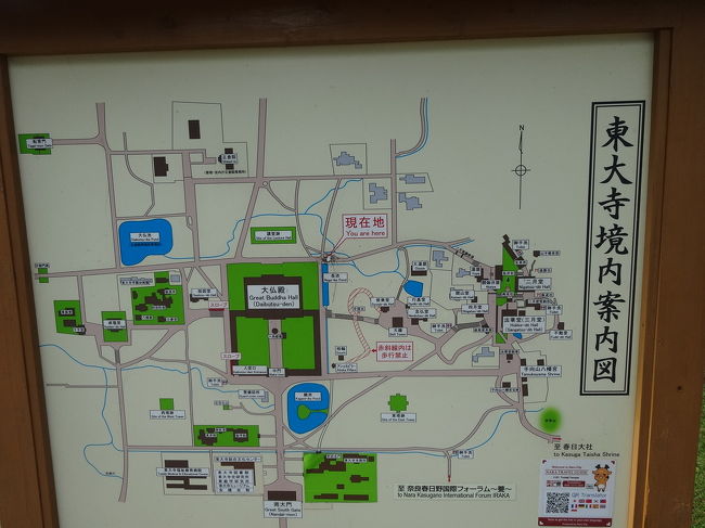 とにかく広い東大寺。<br />ﾊﾞｽ停とは正反対だし、ここでﾀｸｼｰを呼びました。