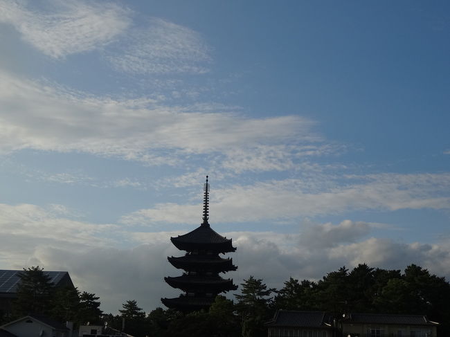 かき氷の後は、歩いて宿へ。