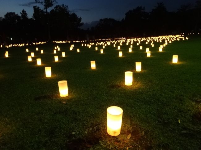 19時から灯される灯りは、そこに集う人々の心をほっこりさせてくれました。