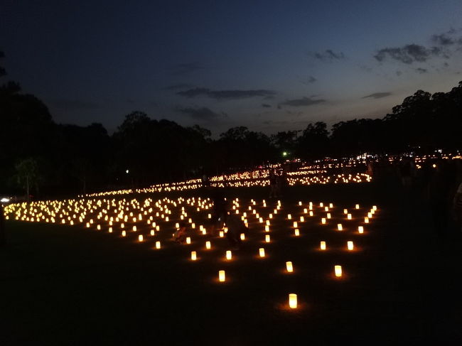 ここは昼間、鹿がたくさんいた広場。鹿さんはいずこ、へ。