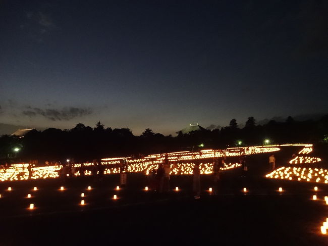 春日野園地<br />奥に大仏殿の屋根が見えます。