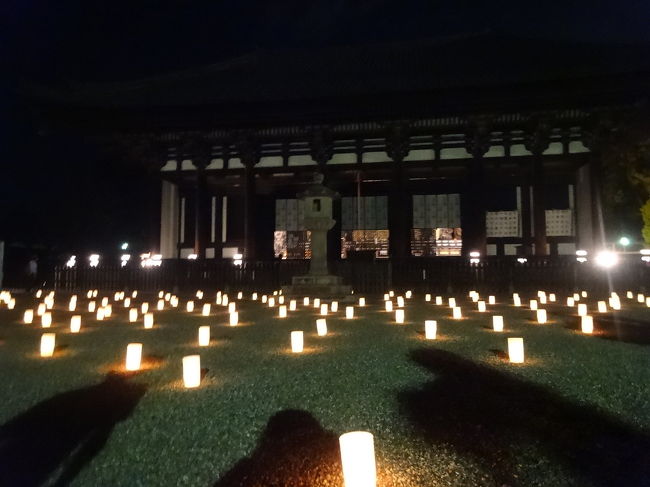 東金堂前<br />東金堂は夜間参拝していました。中の仏像がﾁﾗﾘｽﾞﾑ。