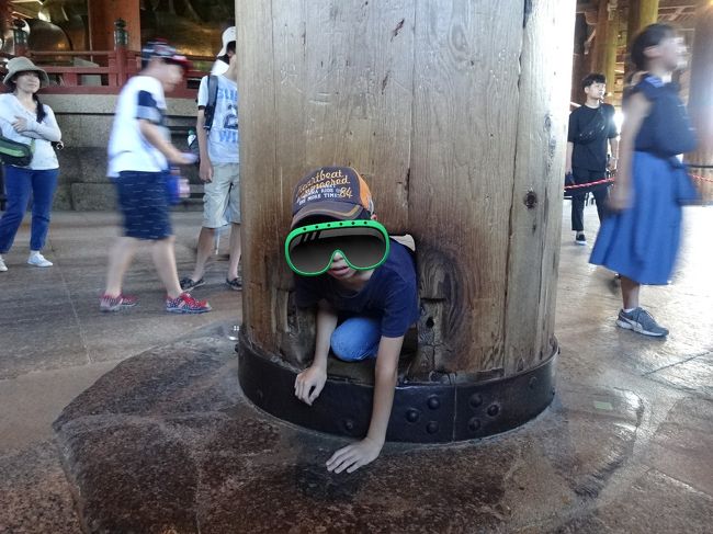 甥っ子に幸あれ。