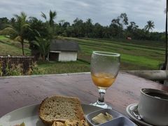 翌朝。老舗オーガニックカフェ、サリオーガニックで朝食。（Jl. Subak Sok Wayah, Tjampuhan, Ubud, ）ここからの田んぼの眺めは最高です。オムレツもニンニクが効いてちょっとアジアンテイスト。