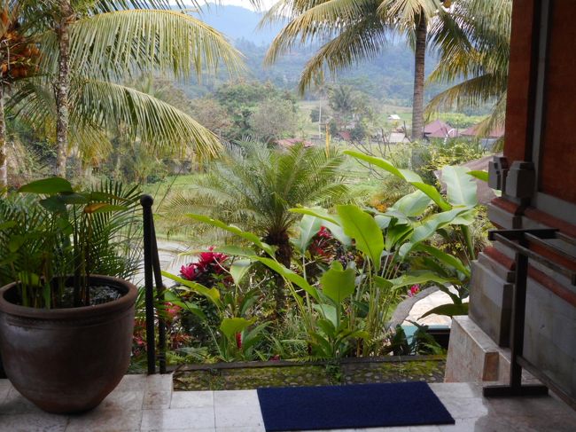 テラスビュー。