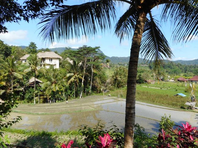 この景色癒されます。