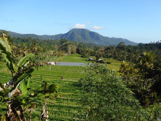 こんな田園風景も。