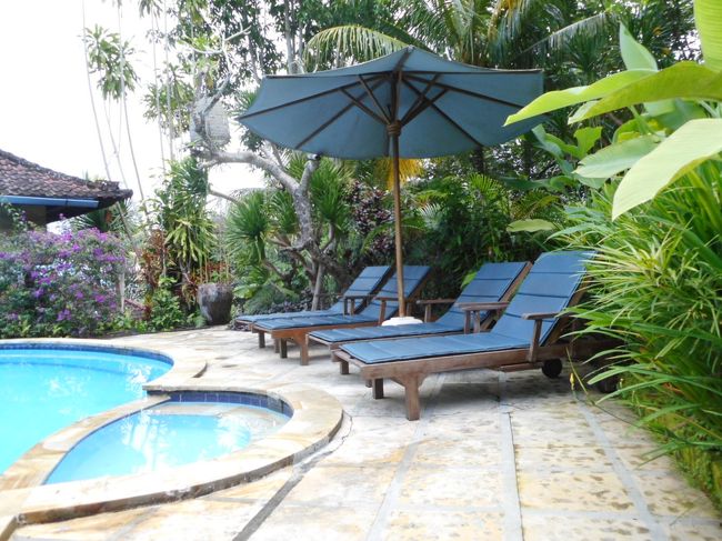 ５日目<br />朝のプール。