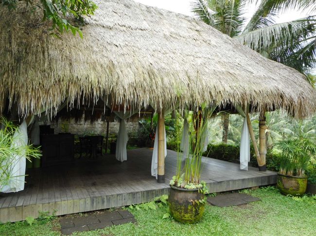 朝ここでヨガをやっていました。