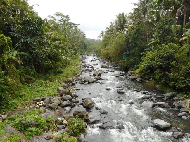 橋の下を流れる川。