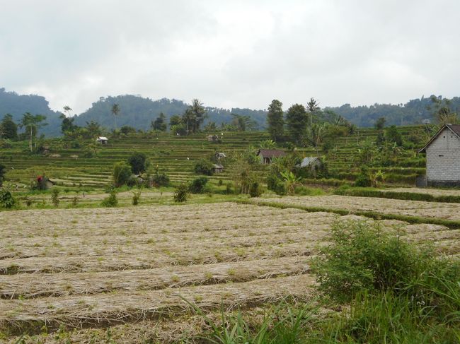 この辺りで時間が無くなってきて歩き疲れ、道端にたむろしていた若い人にヴィラまでバイクで送ってもらいました。