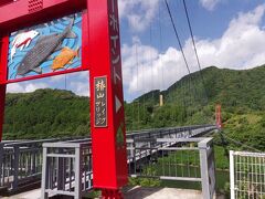 とりあえず、今日は伊勢湾フェリーに乗って、静岡入りしたい
旅の目的の一つに「富士山とご対面」というのがある
キャンプ地を出発すると、国道424号を南東方向に進む
途中、椿山レイクブリッジという場所があり、ド派手な色したブリッジがあった