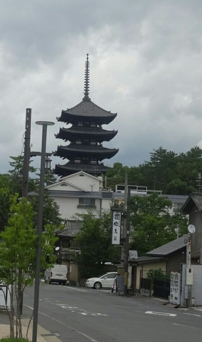 今宵のお宿は「飛鳥荘」。<br />興福寺猿沢池のすぐ近くの立地。まずはﾁｪｯｸｲﾝ。