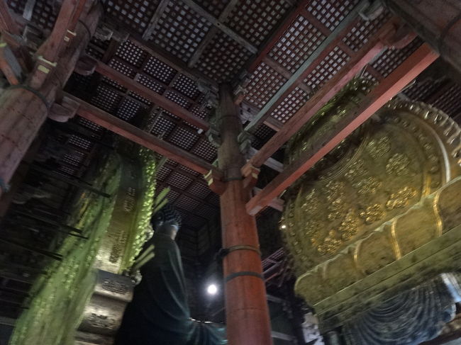 大仏様の背後も見られます。背後には雲の文様が描かれていました。