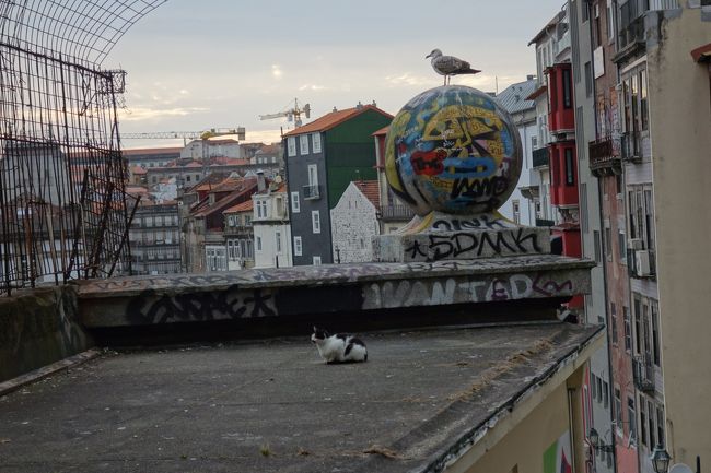 屋根の上には猫。