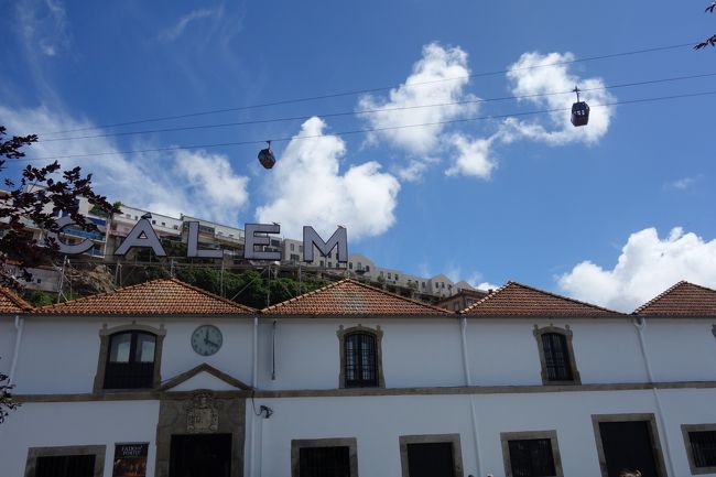 ワイナリーの上をロープウェイ。