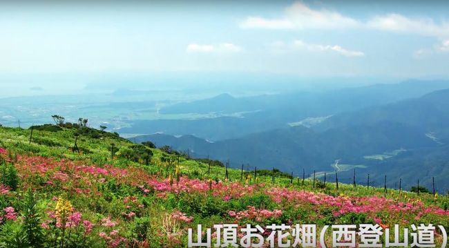 雲上のお花畑を見に夏の伊吹山へ 近くのバイカモも訪ねて 米原 滋賀県 の旅行記 ブログ By Akikoさん フォートラベル 雲上のお花畑を見に夏の伊吹山へ 近くのバイカモも訪ねて 米原 滋賀県 の旅行記 ブログ By Akikoさん フォートラベル
