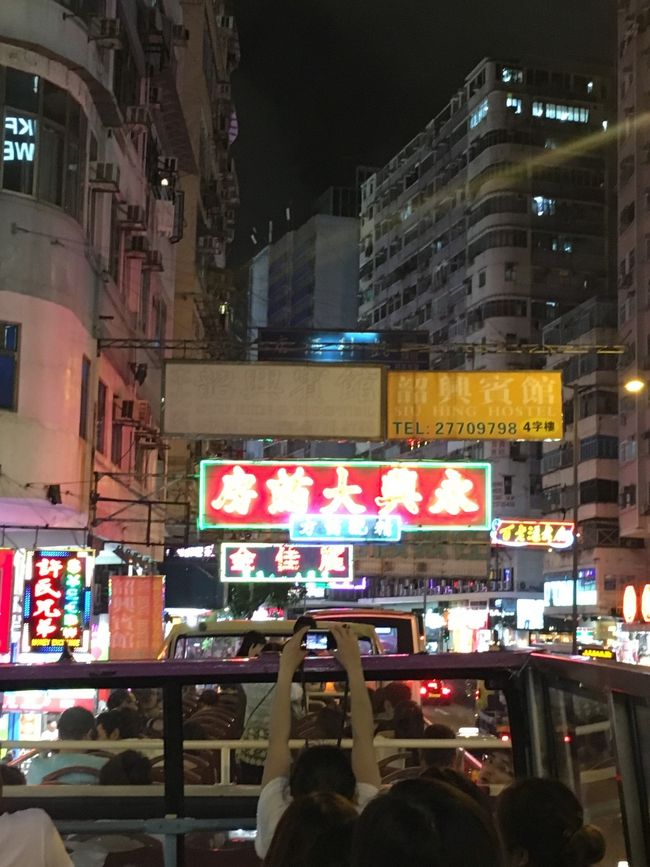 夜風に当たりながら爽快ドライブ。<br />街歩きとは違って、おもしろかったです。