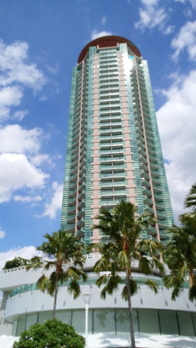 また船でホテルに帰ってきました。