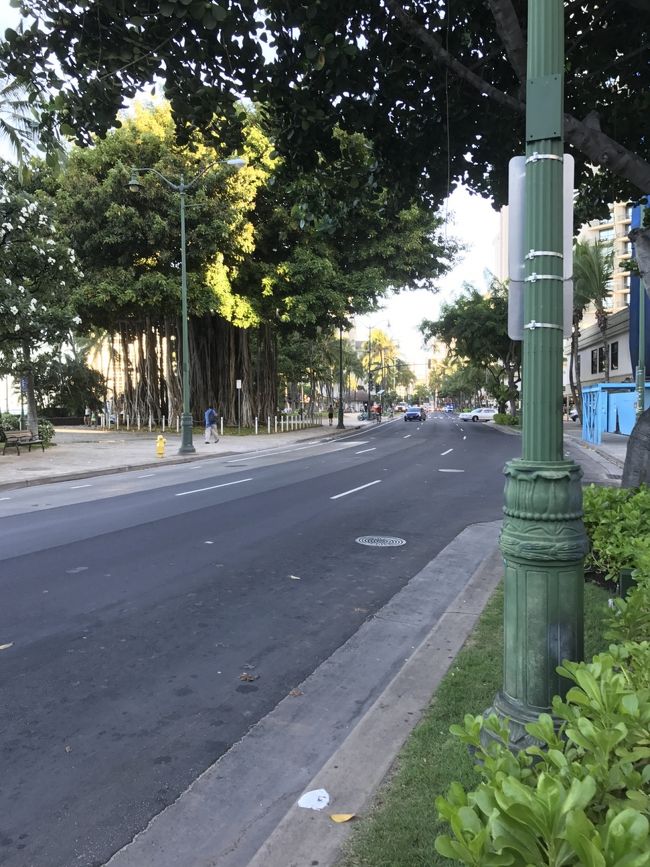 やっぱり、いいな～<br />朝の何気ないこの風景が好きです。^_^