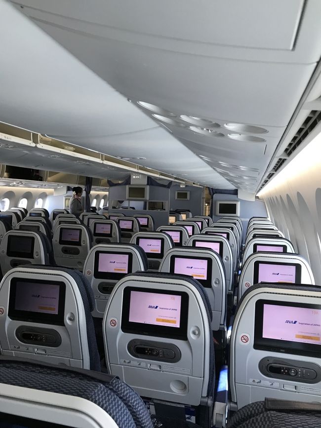 機体は新しく感じました。<br />エコノミーですが、快適でした。