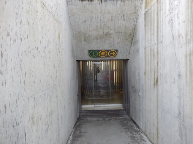 と、同時に、猛烈な腹痛に襲われました。<br />昨日のゴリラバーガーに挟まっていた生野菜が一番怪しそうだけど、食べてから２０時間ぐらい経ってるし…。<br /><br />ちょっと出歩ける状況ではないので、ちょうど良かったかも（良くないか・笑）。