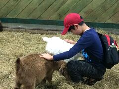次は「アグロドーム」へ。
羊ショーと牧場見学ツアーに参加。

春先なので、たくさんの子牛、子羊、子ヤギ等に触れ合えました。