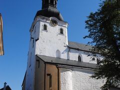 大聖堂（トームキリク）です。
デンマーク人が旧市街の高台の部分である「トームベア」を占領して建てた教会で、エストニア最古の教会です。