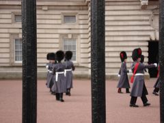 バッキンガム宮殿の衛兵交代式をみてきました。