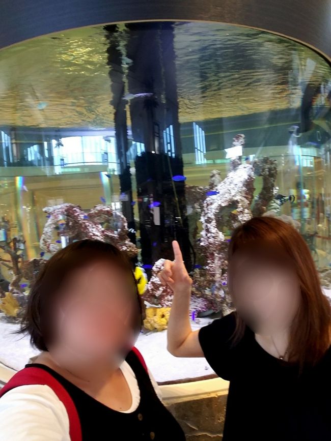 夏休みだからか、搭乗後も離陸が凄く遅れて、那覇乗り換えに間に合うのか？！って感じだったけど<br />なんとか予定通り石垣島に到着ー！