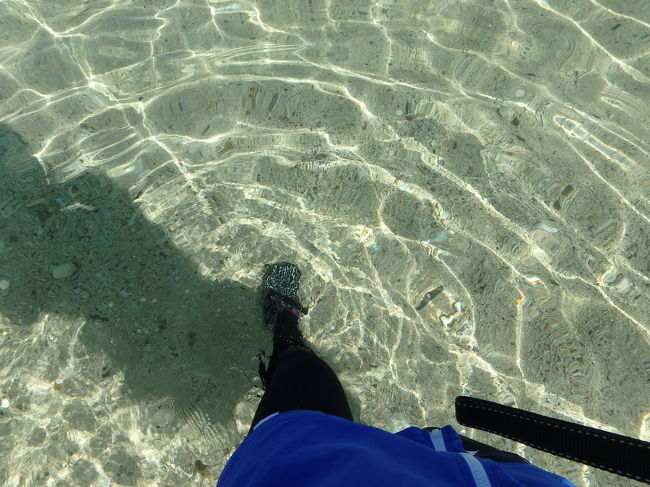 晴れで雲も少なくて、暑くて、水温が高くて、海水はベリークリア！！