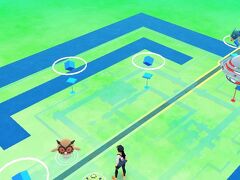 タプロームでポケモンGO!

画像を残すために撮りましたが、遺跡を見たいので全くやっていません。