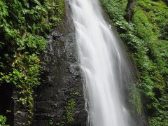 【奥入瀬渓流散策　雲井の滝】

再び奥入瀬渓流ホテルに戻り、シャトルバスで雲井の滝に行き、自力で苔ツアーを決行します。

13:00のバスに乗り、20分弱で雲井の滝の前の到着します。水量もかなりあります。
奥入瀬は十和田湖の爆発的な決壊でできたそうで、そのときかなりえぐられたそうです。このため川を含め渓流全体が箱型になっているため、すぐ脇に道が走りアクセスもしやすくなってます。
また、箱型な地形なので周りに滝も多くあります。