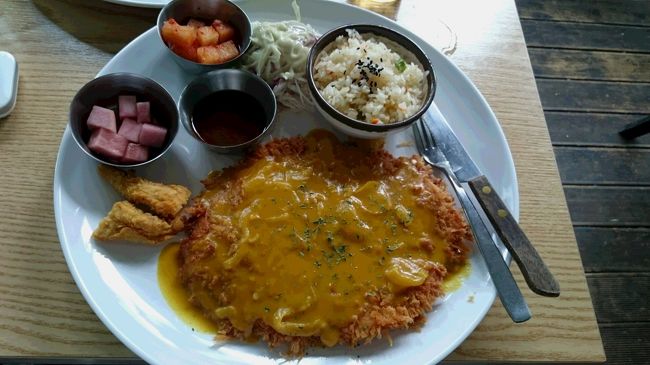 まずは、お腹がすいていたので、駅近くのお店でランチです。<br />チキン専門店？だったかもしれないけど、ポークもありました。<br />美味しかったです。