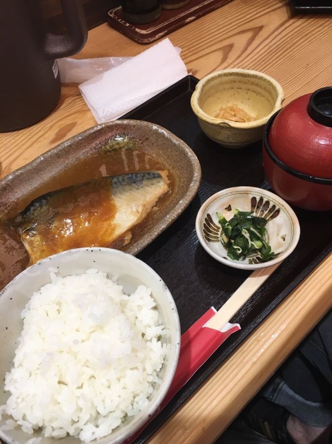 サバ味噌煮定食　980円<br /><br />だれがどれ頼んだのかわからんけど私のカンでは、ねぎとろ丼はたく、サバ塩焼きはりょうた、味噌煮はLじゃないか、と思う。<br /><br />空港で食べると激高だよ～なんて思ったんだけど<br />後で調べてみたら以外にもリーズナブルだね。<br />まぁ、あくまでも空港にしては、ってことだけど。