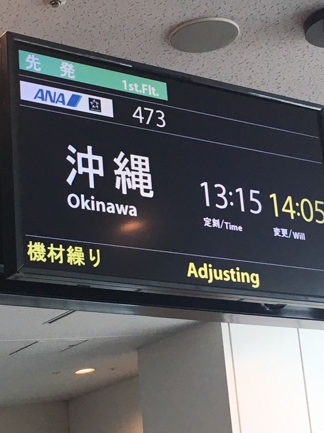 どうやら飛行機が遅れたらしい。<br />往路は直行便ではなくて、那覇で乗り継ぎなんだね。
