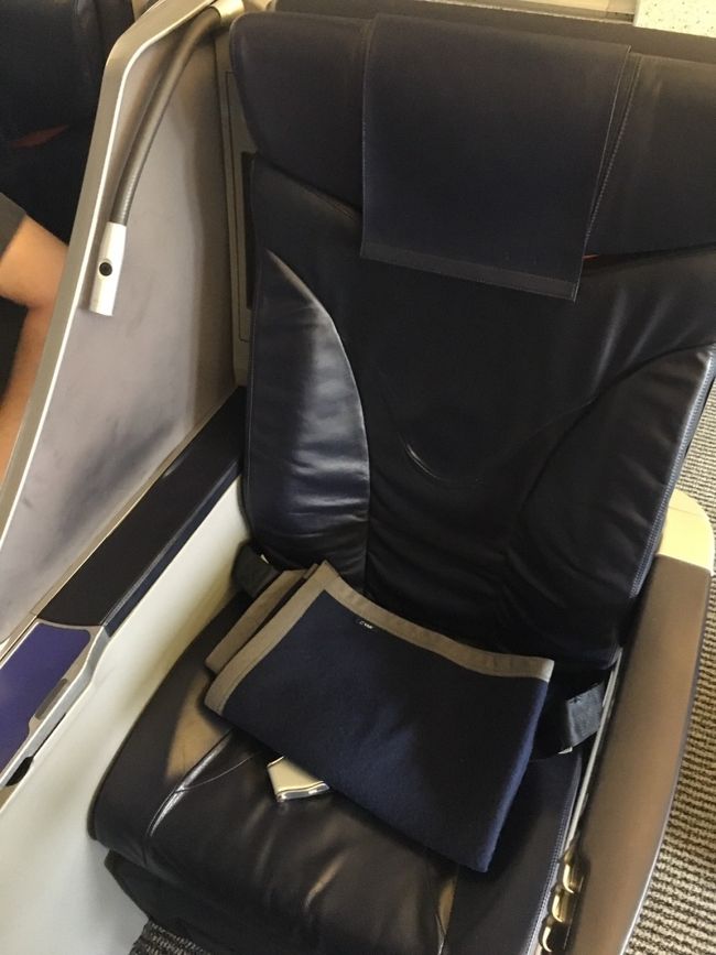 なんと座り心地がよさそうな。