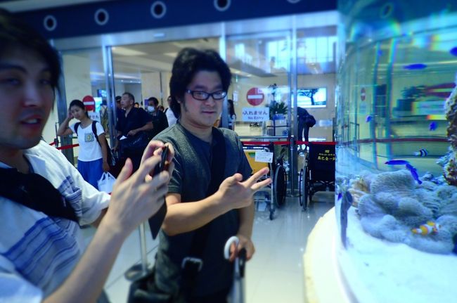 石垣空港のすいそうね。