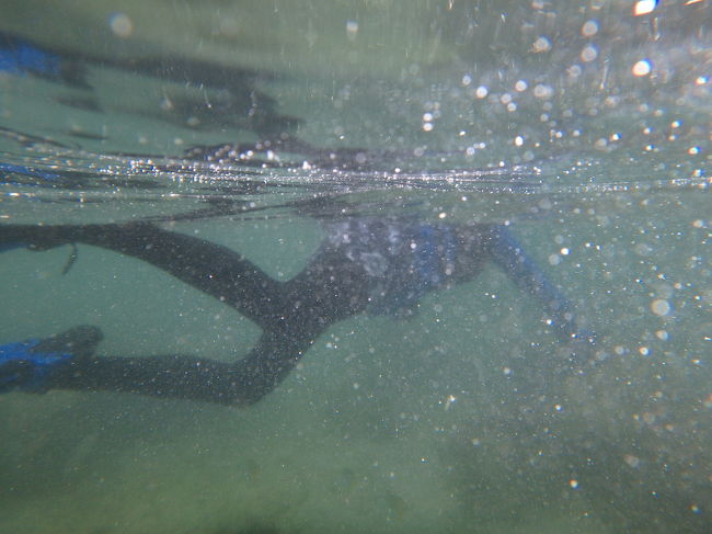 よーーし<br />ニモ探しに行きます！