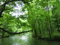 【午後の奥入瀬苔めぐり　石ヶ戸～阿修羅の流れ】

食後は懲りずに最後の奥入瀬苔めぐりに行きます。
14:00のバスで石ヶ戸へむかい、ここから阿修羅まで1.7km程を80分程であるく計画です。

午前中は下流域だったので、あまり川をみませんでしたが、今回のコースは川に近いコースになります。
