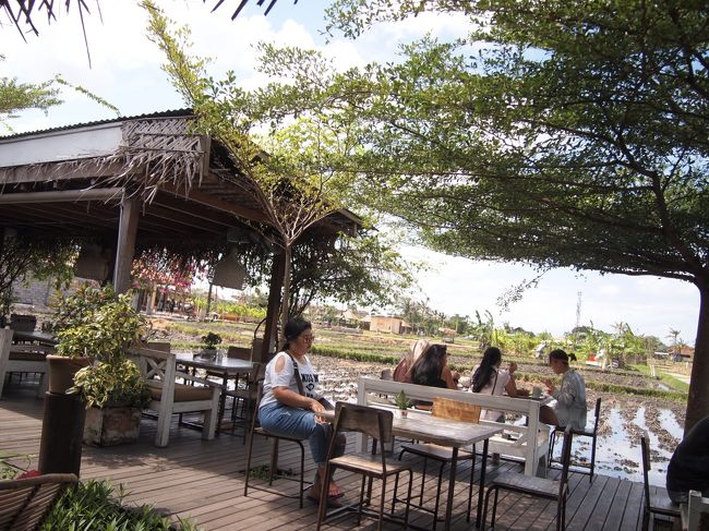 田んぼfrontの席に座りたいと言ったら店員のボスおばちゃんに<br />「１グループでRp500,000以上の食事をしないとダメよ。」<br />って言われる。<br />そ、そんなルールがあるんだー( TДT)　ケチね。<br /><br />ナルボウルズのスムージーで結構まだお腹いっぱいなのに、ここでがっつり<br />メインとか頼んで500k以上のお支払いなんぞ絶対無理だ、、、<br /><br />